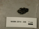 Penicillium vulpinum image