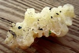 Ductifera pululahuana image