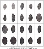 Rinodina oleae image