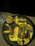 Boletus luridellus image