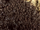 Reticularia jurana image