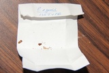 Psilocybe egonii image