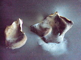 Hohenbuehelia petaloides image