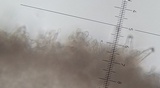 Inocybe leptoclada image