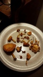 Gymnopilus palmicola image