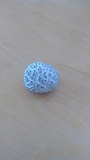 Lycoperdon subcretaceum image