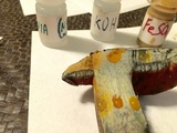 Boletus discolor image