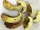 Baorangia bicolor image
