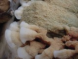 Merulius tremellosus image