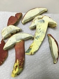 Boletus pallidoroseus image
