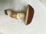 Xanthoconium purpureum image