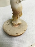 Xanthoconium purpureum image