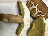 Boletus variipes image