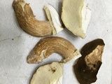 Boletus variipes image
