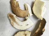 Boletus variipes image