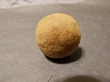 Boletus patrioticus image