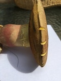 Baorangia bicolor image