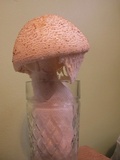 Amanita ravenelii image