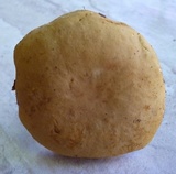 Boletus nobilis image