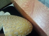 Amanita muscaria f. guessowii image