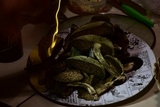 Boletellus ananas image