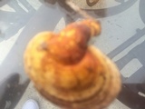 Ganoderma curtisii image