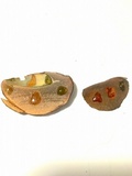 Lanmaoa pseudosensibilis image