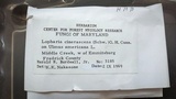 Lopharia cinerascens image