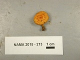 Pholiota flammans image