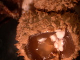 Nidula candida image