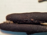 Xylaria allantoidea image