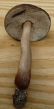 Tylopilus sordidus image