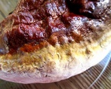 Ganoderma sessile image