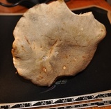 Retiboletus griseus image