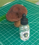 Tylopilus ferrugineus image