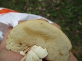 Xanthoconium purpureum image
