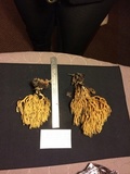 Ramaria flaccida image