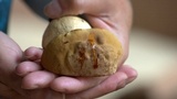 Boletus huronensis image