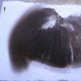 Agaricus pocillator image