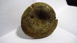 Lactarius atroviridis image