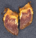 Trichocoma paradoxa image