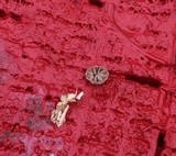 Mycena corticola image