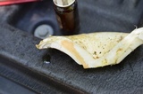 Lactarius deceptivus image