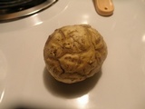 Calbovista subsculpta image