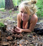 Morchella snyderi image