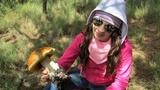 Boletus rubriceps image
