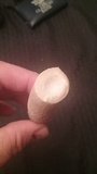 Amanita sect. Vaginatae image