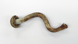 Inocybe agardhii image