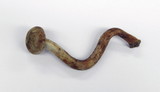 Inocybe agardhii image