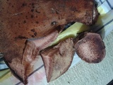 Fistulina hepatica image